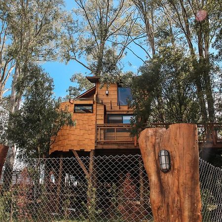 Casa Na Arvore Morada Dos Vagalumes 파호필랴 외부 사진